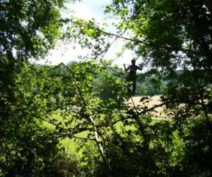 photo Arb'aventure Denestanville 2709