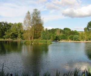 Etang De Peche Du Val Ferman