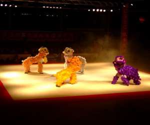 photo Association culturelle et sportive euro chinoise  