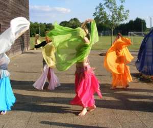 Danse Orientale, Flamenco, Africaine