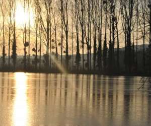photo Restaurant les 3 etangs Jouy Sur Eure 3333