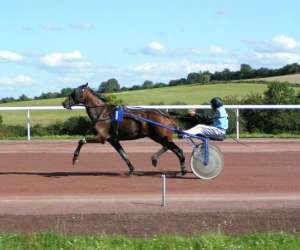 photo Courses hippiques Bosc Bordel 3127