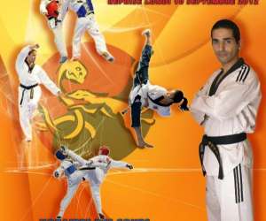 photo Taekwondo club de villers ecalles Barentin 4753
