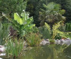photo Les nouveaux jardins de louanne Fecamp 3827