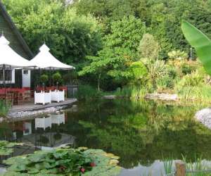 photo Les nouveaux jardins de louanne Fecamp 3829
