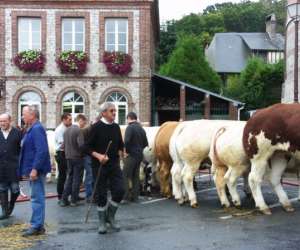 photo Juinsonoloc Malleville Les Gres 4207