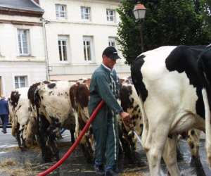 photo Juinsonoloc Malleville Les Gres 4209