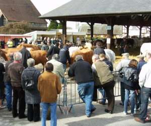 photo Juinsonoloc Malleville Les Gres 4210