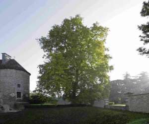 photo Domaine d'harcourt Harcourt 3535