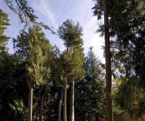 photo Domaine d'harcourt Harcourt 3536