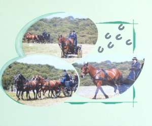 photo Abc d'caux phot Luneray 3568