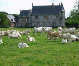 photo Les gites du manoir de gourel Brachy 3598