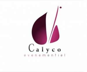 Calyco   Organisation D