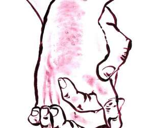 photo Cours de dessin peinture arts plastiques Rouen 4704
