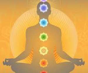 La Fine Fleur Du Yoga La Fine Fleur Du Yoga