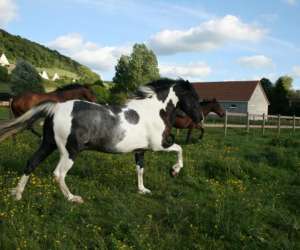 Ferme Equestre De Muchedent