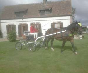  Attelage- Nature,balade En Calche,promenade En    Mai