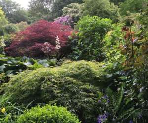 Jardin Du Mesnil Jardin Du Mesnil