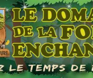 Le Domaine De La Foret Enchantee