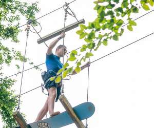 photo Arb'aventure Denestanville 6299