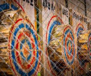 photo Arb'aventure Denestanville 6300