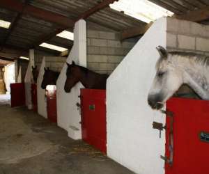 photo Centre equestre de grainville Bourgtheroulde Infreville 4525