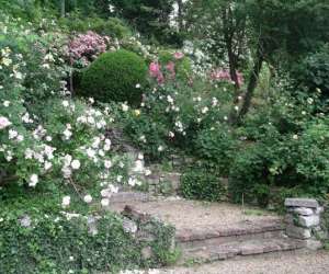 photo Restaurant ancien htel baudy - giverny Giverny 2938
