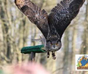 photo Le bois des aigles naturama Balines 5574