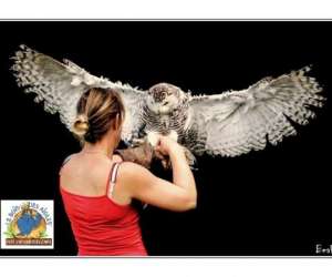 photo Le bois des aigles naturama Balines 5576