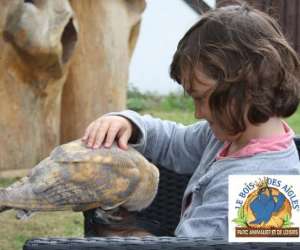 photo Le bois des aigles naturama Balines 5581