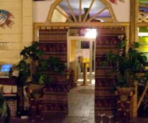 photo L'amazonie cafe Montpellier 1104