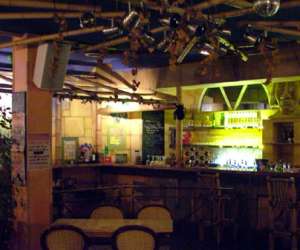 photo L'amazonie cafe Montpellier 1105