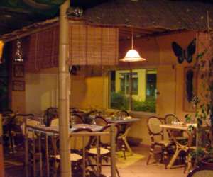 photo L'amazonie cafe Montpellier 1106