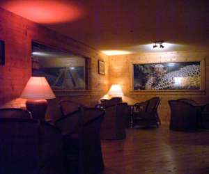 photo L'amazonie cafe Montpellier 1109
