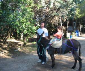 photo Association beau nez d ane Gigean 2589