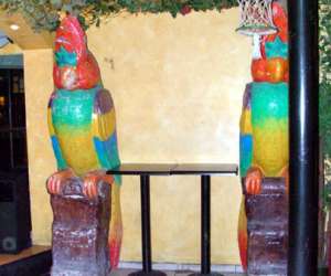 photo Le  beach   discotheque  tropicale Montpellier 1182