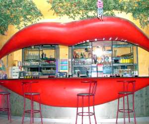 photo Le  beach   discotheque  tropicale Montpellier 1183