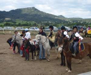 photo Centre equestre - poney club de lauret - les cavaliers de la plaine Lauret 2548