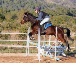 Centre Equestre - Poney Club De Lauret - Les Cavaliers 