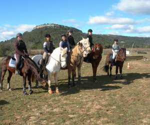 photo Centre equestre - poney club de lauret - les cavaliers de la plaine Lauret 4196