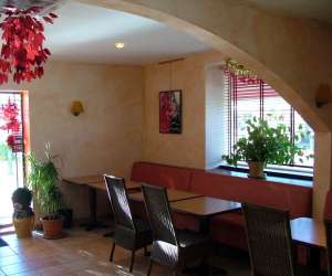 photo Le tetras Montpellier 1388