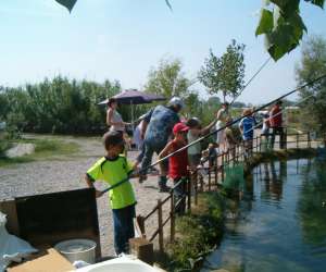 Etang De Peche A La Truite D