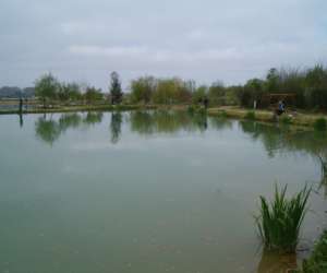 photo Etang de peche a la truite d'aimargues Aimargues 2636