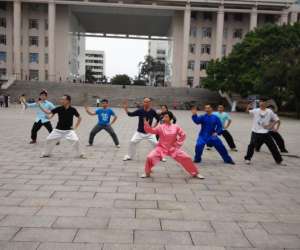 photo Les 3 petits singes (kung-fu wushu) Mauguio 17520