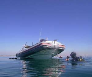 photo Ecosystem cente de plongee Palavas Les Flots 15495