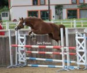 Centre Equestre De La Serre