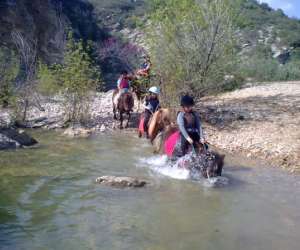 photo Ferme equestre tipi'jo Cournonterral 5631