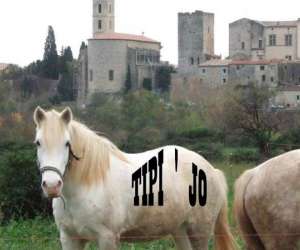 Ferme Equestre Tipi