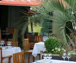photo Sequoia Montpellier 1767