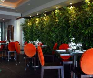 photo Sequoia Montpellier 1773